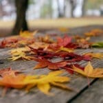 Essential Fall Home Maintenance Checklist